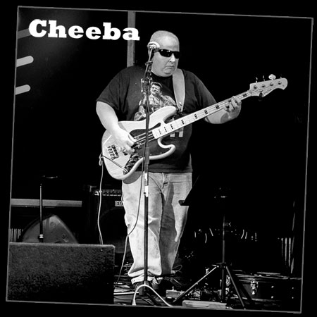 cheeba midlife mafia